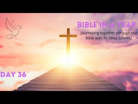 Day 36: Bible in a year - Manna from Heaven