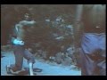 Shaolin Drunken Monkey Secret Technique Avi