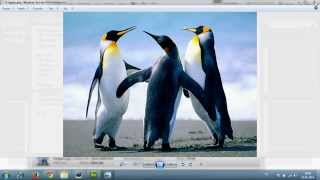 asp ckeditor and ckfinder