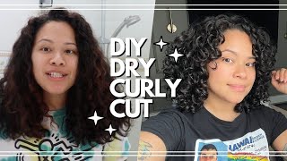 My First Attempt at a DRY Curly Cut and Why I Would Probably Never Do This Again