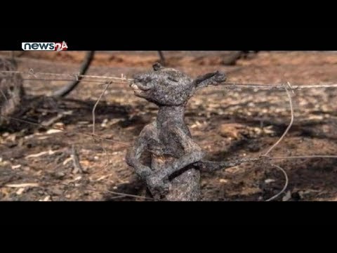 PRIME TIME NEWS 8 PM_2076_09_22 - NEWS24 TV