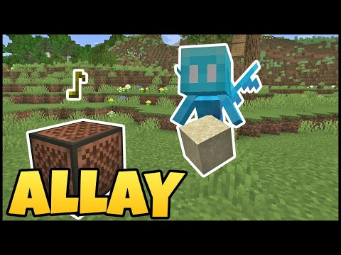 How To Get The ALLAY In MINECRAFT