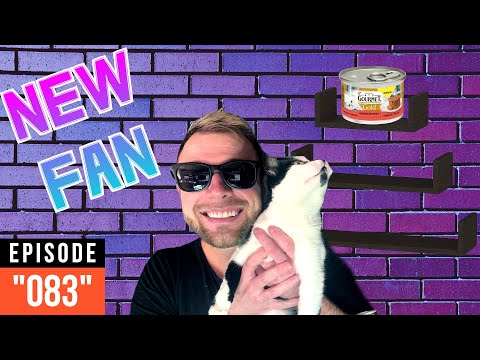 3D Nation Sessions "083" (New fan)