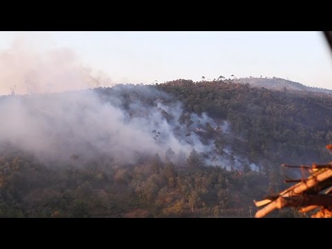 Fighting Fire - Island of Lemurs: Madagascar Featurette