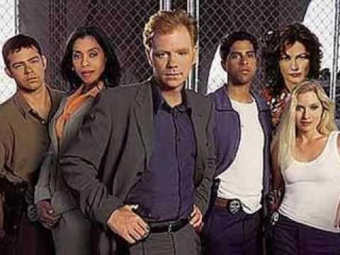 CSI: Miami- The Team 