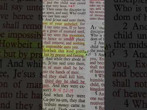 Catholic Bible Matthew 17:21