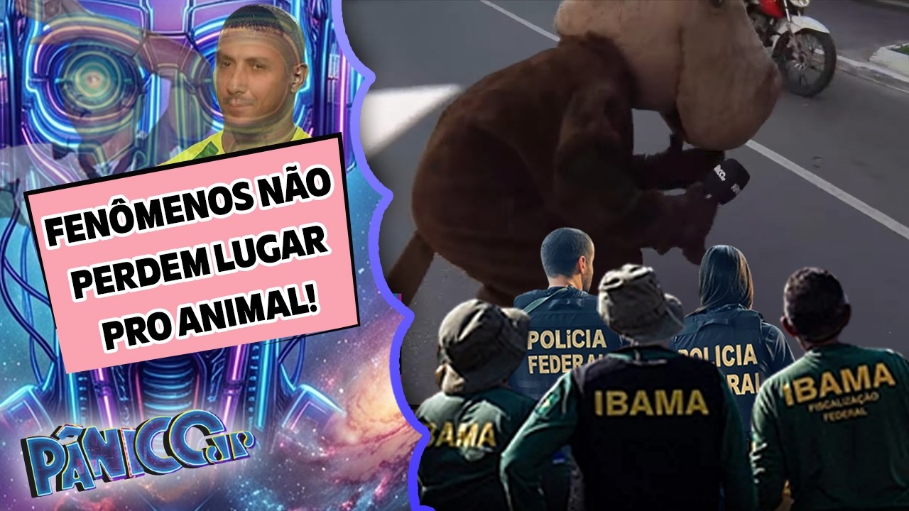 CAPIVARA TÁ FORA DO CONTROLE EM SP! QUEM VAI APARECER PARA RESOLVER: POLÍCIA FEDERAL OU O IBAMA?