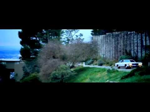 Thane Koi - Paper Gangsta (папір гангста)