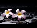 Michael Dulin - Common Faith