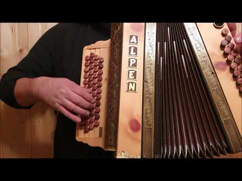 Alpen Harmonika Modell Artist Natur Zirbe G C F B