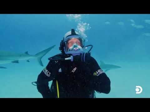 MIke Tyson Shark Week * Mike Tyson with Sharks * Mike Tyson Fighting Sharks