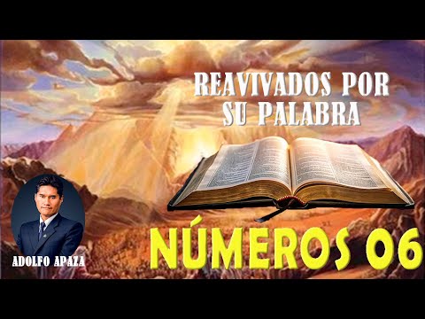 Numbers 06 Revived by His Word