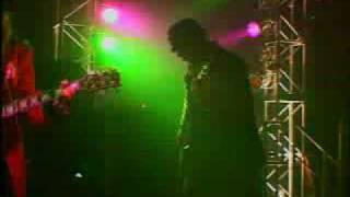 shark attack live at Anglesea 2003