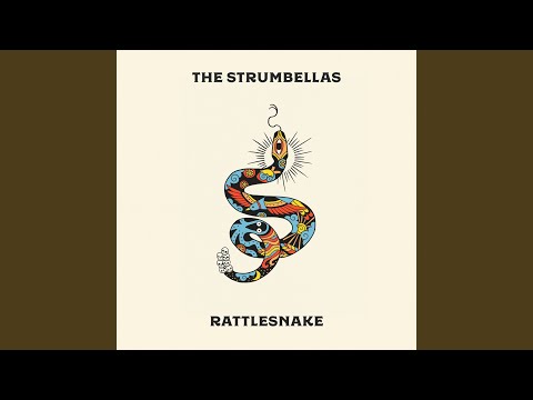 We All Need Someone - The Strumbellas