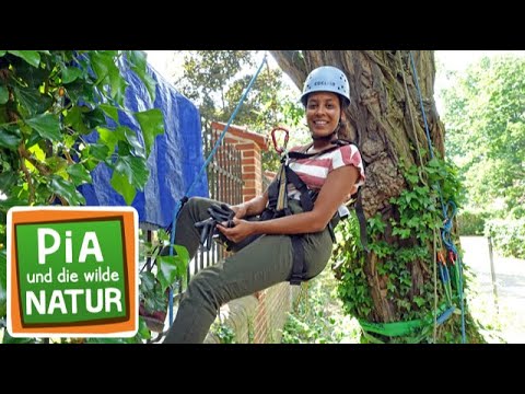 In Berlin geht's tierisch ab | Reportage für Kinder | Pia und die wilde Natur