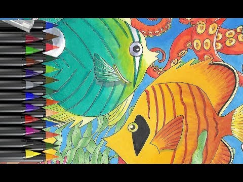 Drawing Colorful Tropical Fish