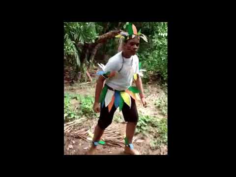 Exaltação Indígena - Boi Garantido