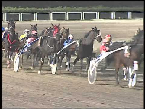 Trotto 26/02/2015 - 7° corsa