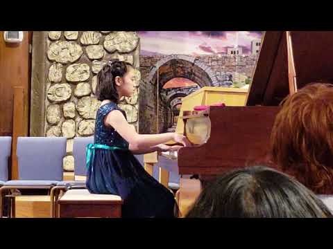 Sarah Chen 2019 Winter Recital