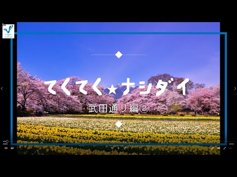 てくてくナシダイ（武田通り編②）