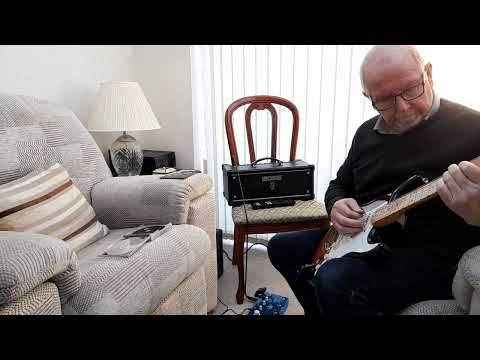 The Savage demo using TC Electronics Flashback Triple Delay - Live Play