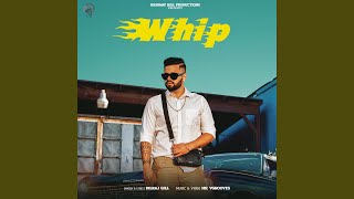 Whip (feat Mr Vgrooves)