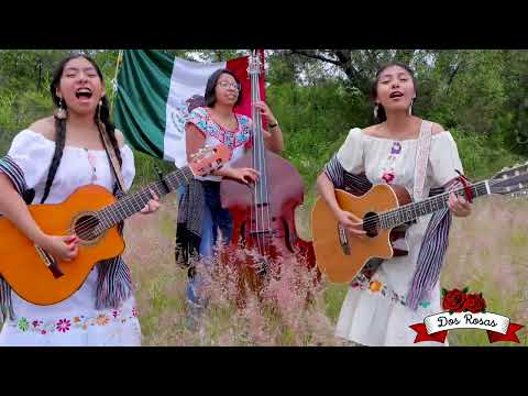 Tiempos Amargos- Dueto Dos Rosas 🇲🇽(En Vivo)