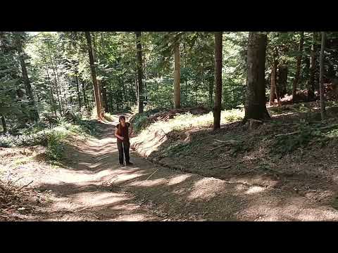 6Sept23 Azuga - vf. Grecului - Muchia lungă - Buşteni