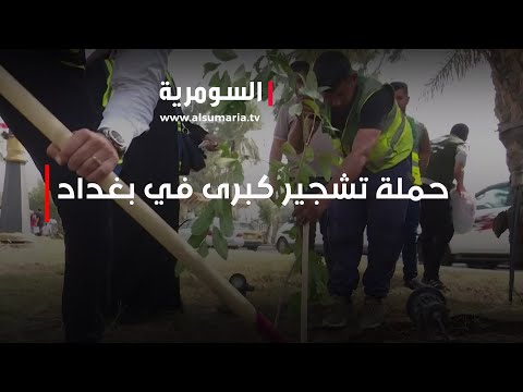 شاهد بالفيديو.. أي مناطق في بغداد شملت حملة التشجير الكبرى؟