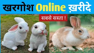 pets online shopping india ,, pets online shopping app ,, rabbits for sale ,, dog buy online ,,