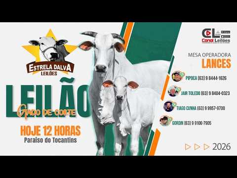 LEILÃO GADO DE CORTE ESTRELA DALVA LEILÕES | PARAÍSO DO TOCANTINS-TO - 12/09/2026