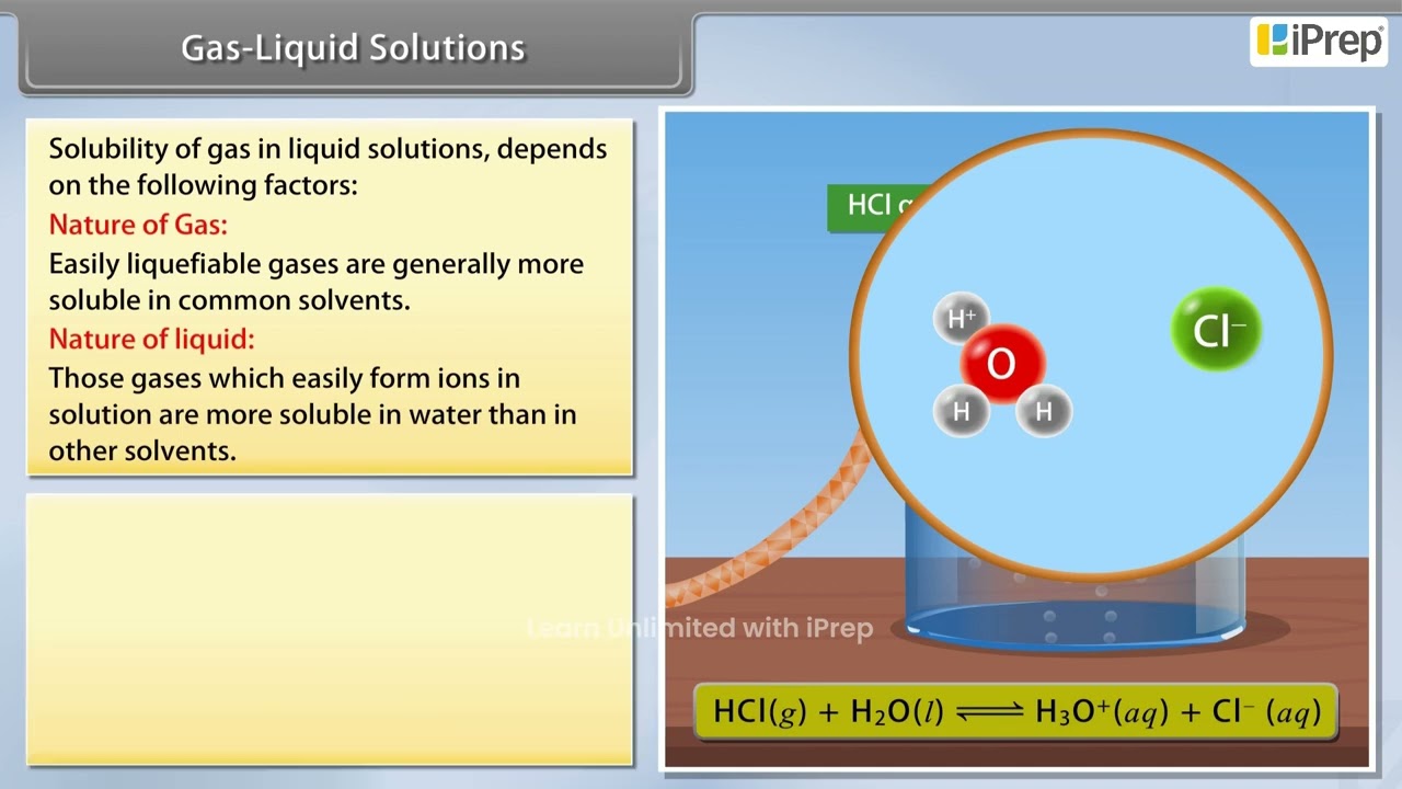 Solubility of Gas in a Liquid | Solutions | Chemistry | Class 12th | iPrep