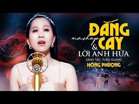 Mashup Cay đắng & Lời anh hứa - Hồng Phượng