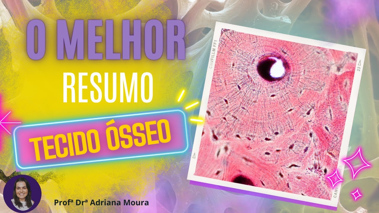Histologia tecido ósseo