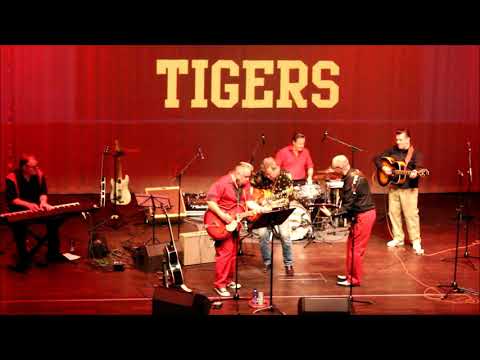 SHERWOOD TIGERS - Paralyzed, live at Kangasala-talo 13.10.2017