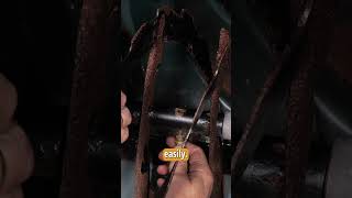 What to Do When Your Snowblower Auger Won't Engage