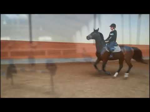 Pacino treningi 11/12 2017