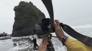 Download lagu Pushing it a bit too far at the Olympic Peninsula coast mp3