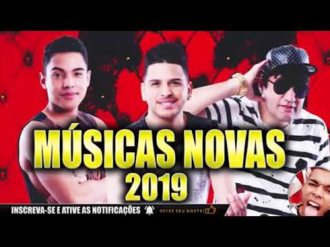 A TURMA DA BREGADEIRA 2019