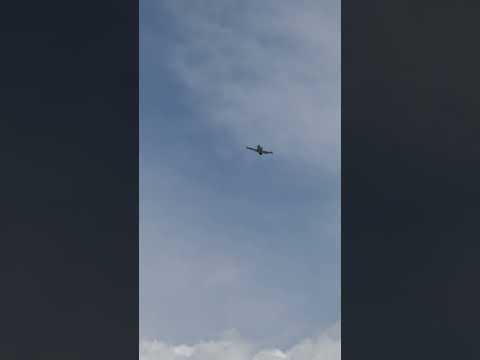 エアロ L-39 アルバトロスについて詳しく解説