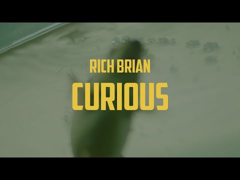 Rich Brian - Curious (Lyric Video)