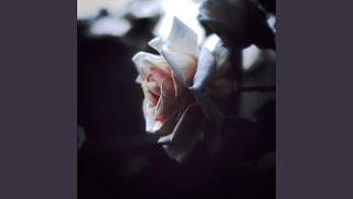 losing you Music Video