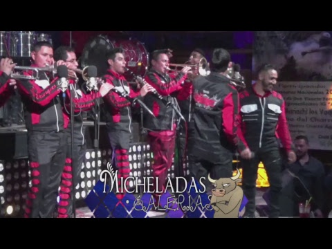 Micheladas Galerias -  sonora camaleon