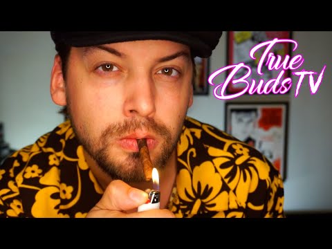 True Buds TV Smoke Session Q&A | Videos Every Day for A Month Celebration
