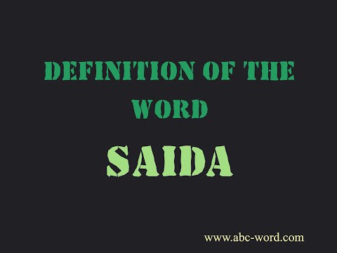 Definition of the word "Saida"