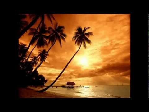 Skytech Vs Dimitri Vegas,Moguai & Like Mike - No Need For Mammoth (Otherside Mashup)