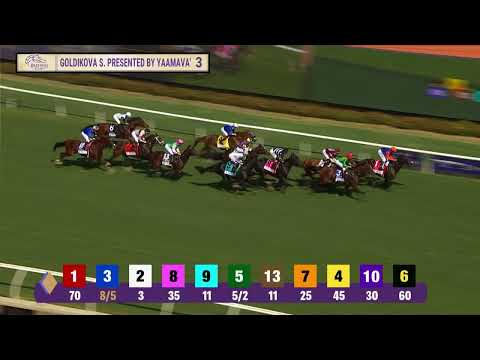 Special Wan (IRE) wins the Goldikova Stakes G.III race 3 at Del Mar 11/1/25