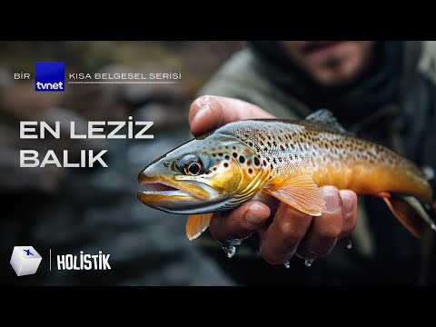 Dünyanın En Çok Tercih Edilen Balığı Nasıl Yetiştirilir? | Kültür Balıkçılığı