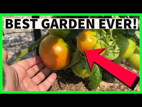 Earthbox Garden Kit, Green (Pack of 2, Standard)