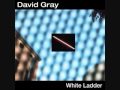 David Gray - Silver lining